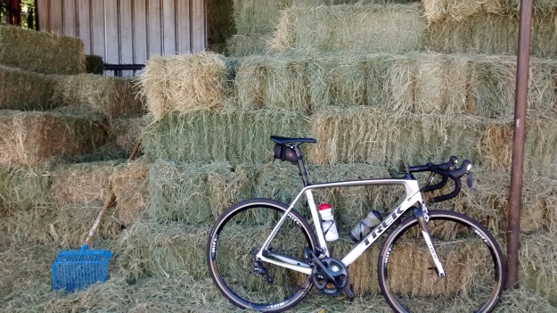 Hay and bike